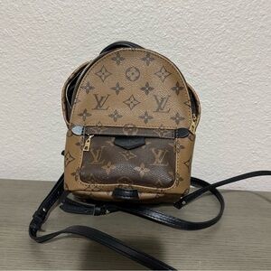 Louis Vuitton Palm Springs Mini * read description *